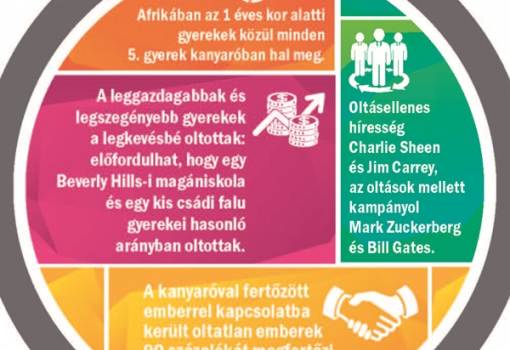 <h1>A leggazdagabbak és legszegényebb gyerekek a legkevésbé oltottak: előfordulhat, hogy egy Beverly Hills-i magániskola és egy kis csádi falu gyerekei hasonló arányban oltottak.

Oltásellenes híresség Charlie Sheen és Jim Carrey, az oltások mellett kampányol Mark Zuckerberg és Bill Gates.

A kanyaróval fertőzött emberrel kapcsolatba került oltatlan emberek 90 százalékát megfertőzi a betegség.</h1>-